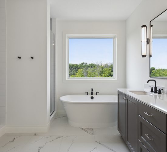 1981 Della Dr, Chanhassen 029