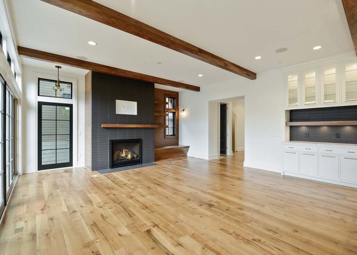 Edina Mid Mod Great Room 002