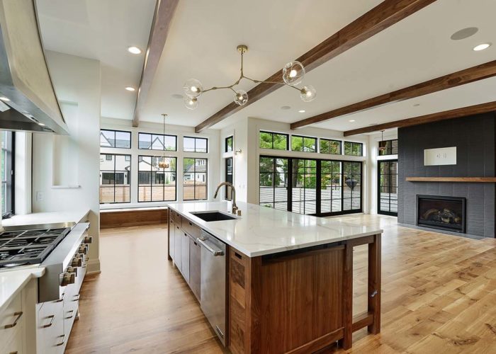 Edina Mid Mod Kitchen 006