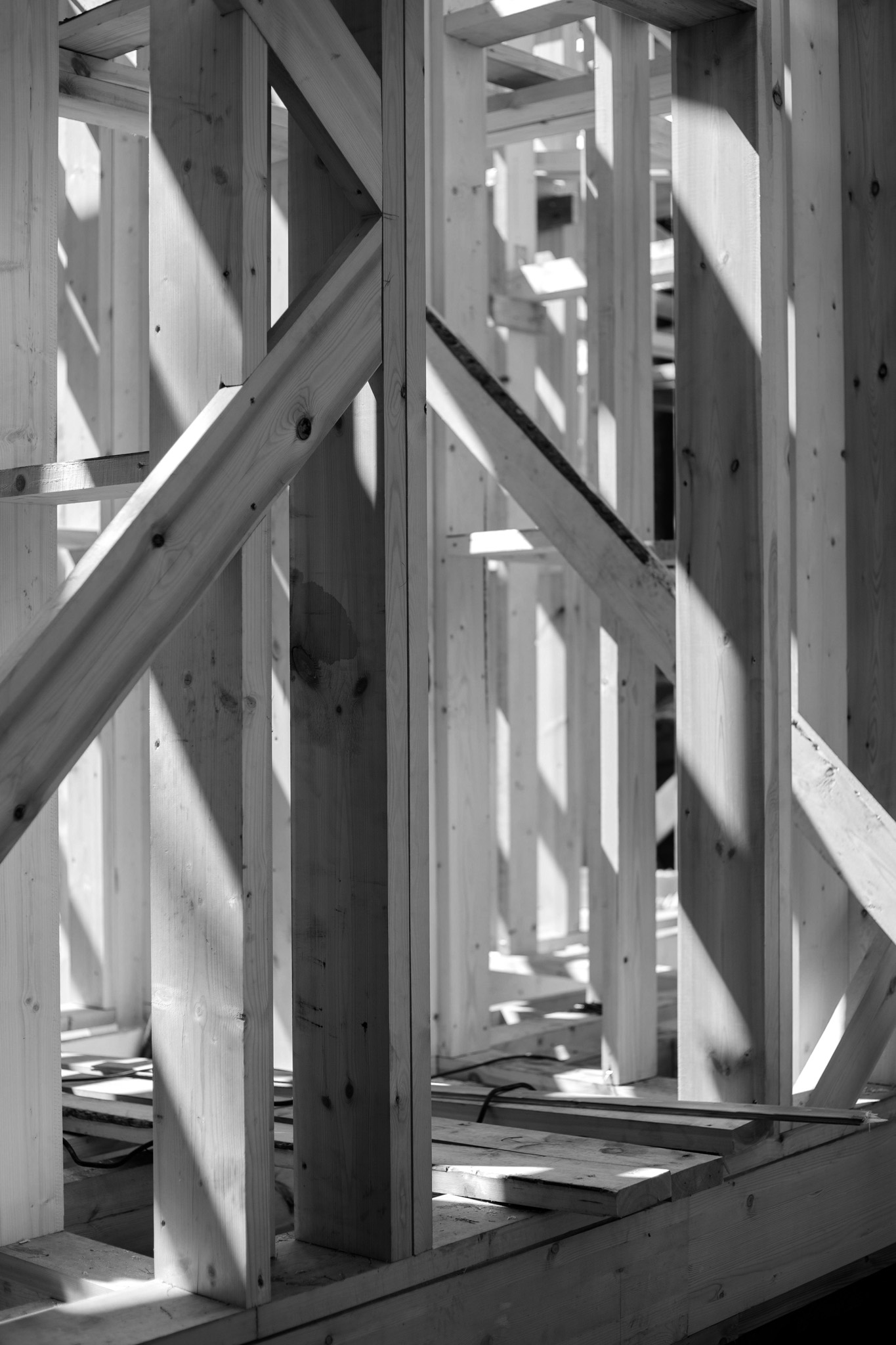 Pexels Ron Lach 8817834 2