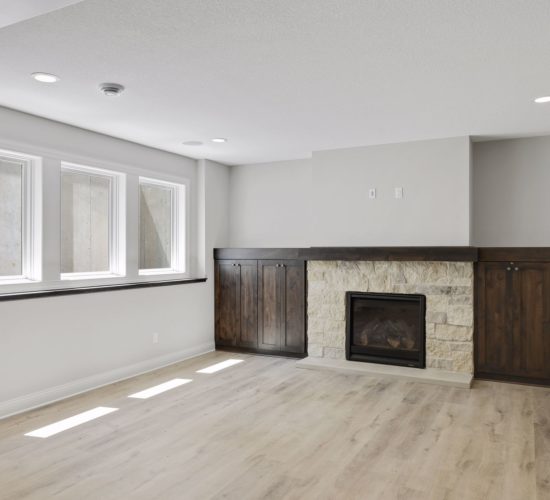 lower level fireplace and built-ins