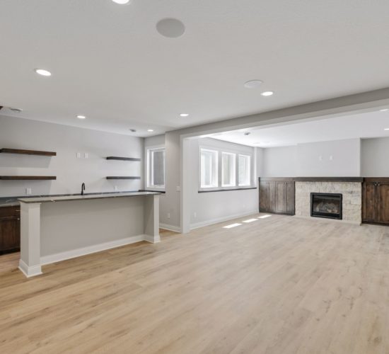 lower level with bar and fireplace