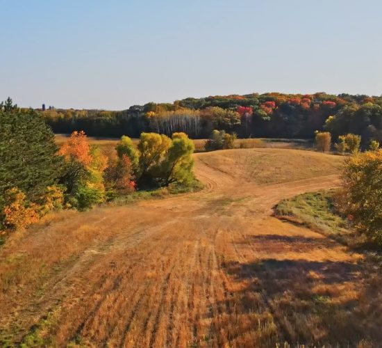 Screenshot 2024 11 11 At 8.45.55 am